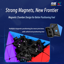 DianSheng Face-Turning Octahedron (Magnetic)