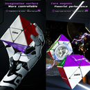 DianSheng 2x2 FTO (Magnetic)