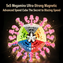 ShengShou Gigaminx v3