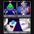 DianSheng 2x2 FTO (Magnetic)