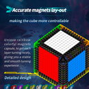 DianSheng Galaxy 11M 11x11 (Magnetic)