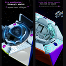 DianSheng 2x2 FTO (Magnetic)