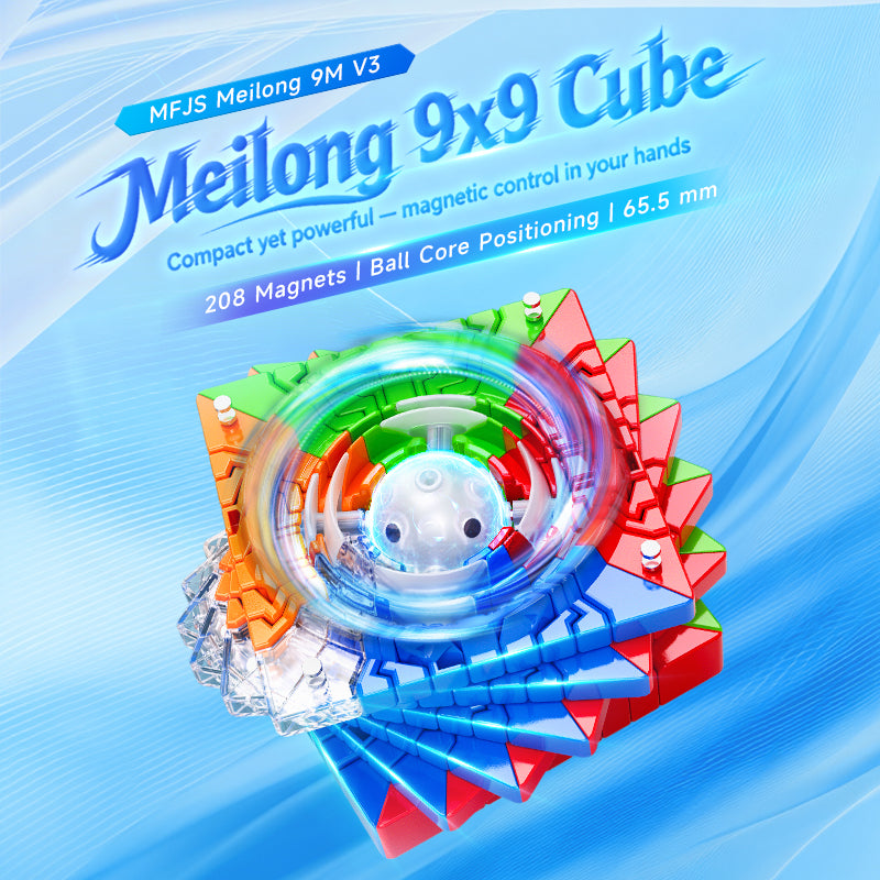 303095_2 303095_2