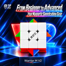 QiYi Warrior 3x3 M v2